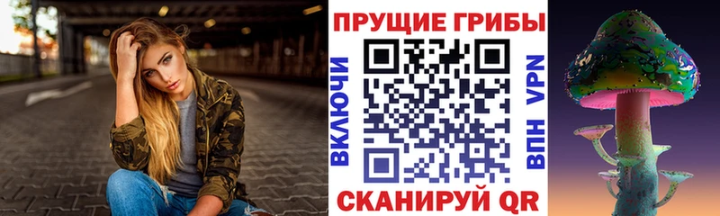 дарк нет наркотические препараты  МЕГА ссылки  Ленск  Псилоцибиновые грибы MAGIC MUSHROOMS 